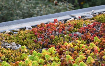 the cost of Nedge Hill green roof installation