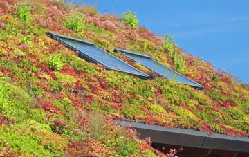 Nedge Hill living roof systems